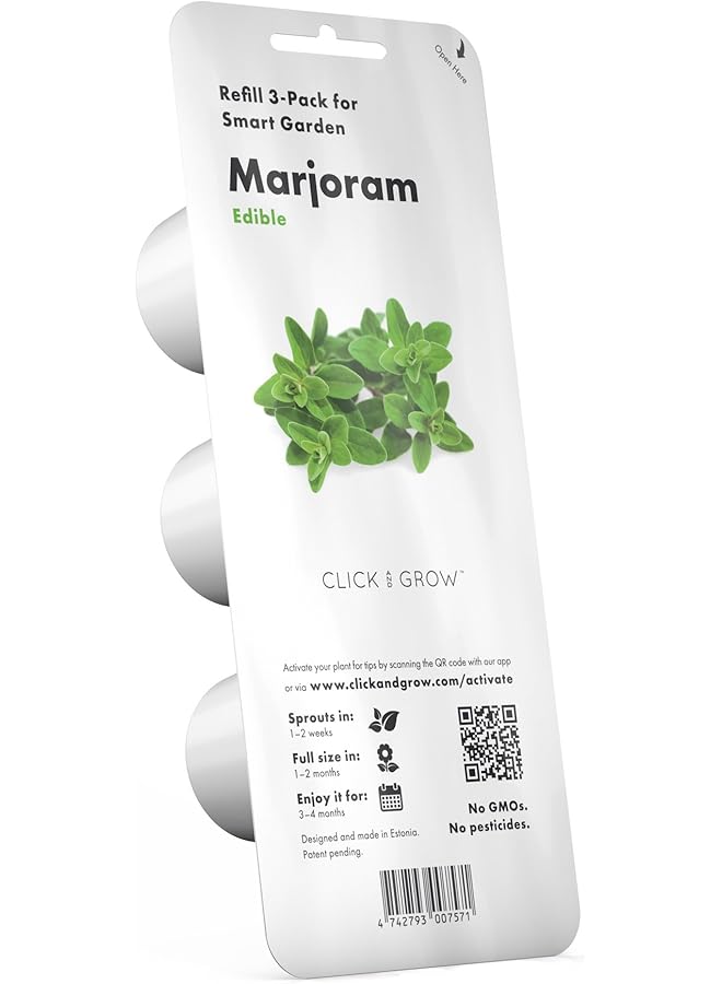 كليك آند جرو مردقوش - Image 1