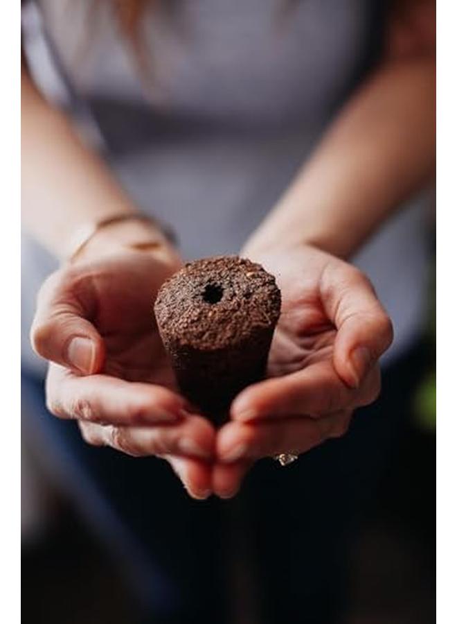 كليك آند جرو مردقوش - Image 4