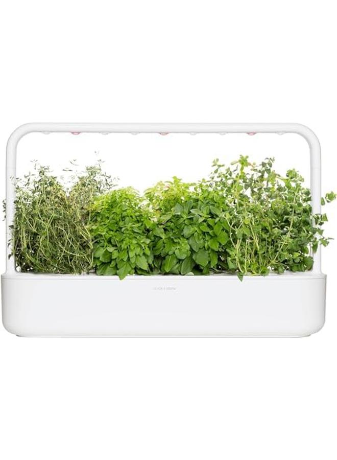 كليك آند جرو مردقوش - Image 3