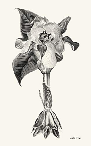 Wild Irises 
