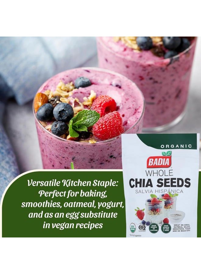 BADIA Organic Chia Seeds, 9 oz – Rich in Fiber, Protein, and Omega-3 – Perfect for Smoothies, Baking, Yogurt & Healthy Recipes - Image 2