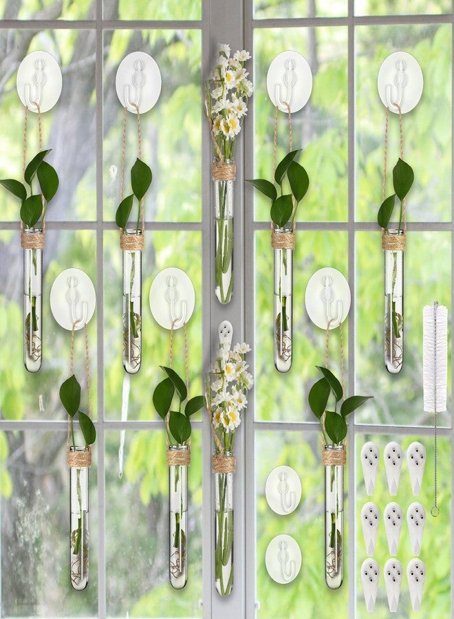 Baderke 9 Pack 5" Clear Window Propagation Stations Plastic Window Planter with Suction Cups & Traceless Nails, Propagated Plant Holders with Bottle Brush, Wall Hanging Planter Vases Terrarium Gifts - Image 1