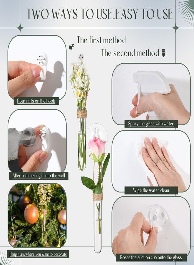 Baderke 9 Pack 5" Clear Window Propagation Stations Plastic Window Planter with Suction Cups & Traceless Nails, Propagated Plant Holders with Bottle Brush, Wall Hanging Planter Vases Terrarium Gifts - Image 3