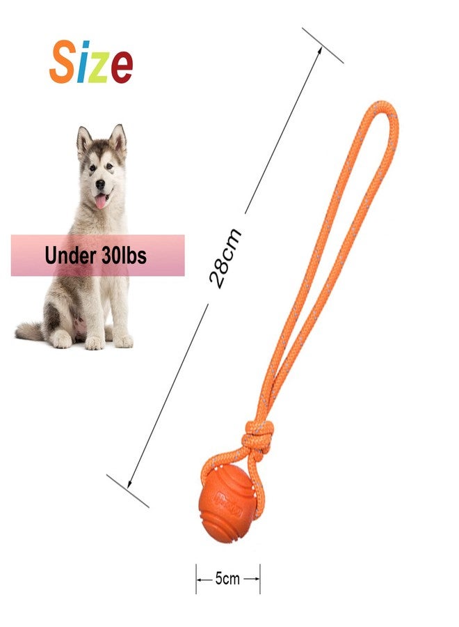 Vitalili Dog Training Ball on A Rope Rubber Dog Rope Toys Ball with Handle for Tug of War K9 Training Rewards for Belgian Malinois Gifts, 5cm in Diameter for Small Dogs 0-30 Lbs, Pack of 4 - Image 2