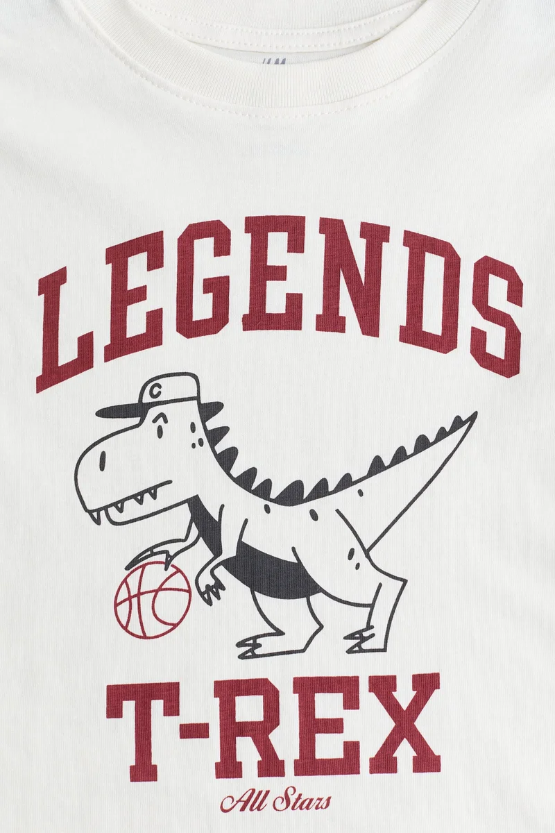 اتش اند ام Printed cotton T-shirt