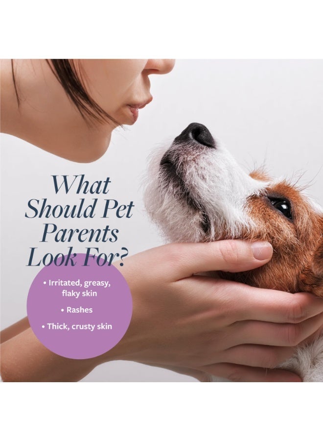 SynergyLabs Veterinary Formula Clinical Care Antiparasitic & Antiseborrheic Shampoo For Dogs 473 ml Volume: 473ml - Image 5