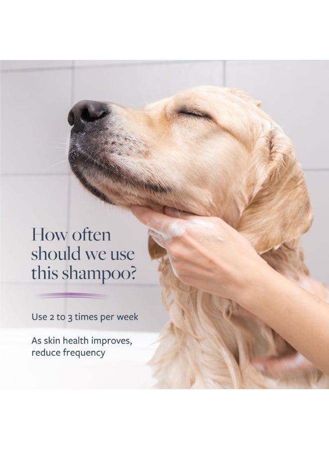 SynergyLabs Veterinary Formula Clinical Care Antiparasitic & Antiseborrheic Shampoo For Dogs 473 ml Volume: 473ml - Image 3