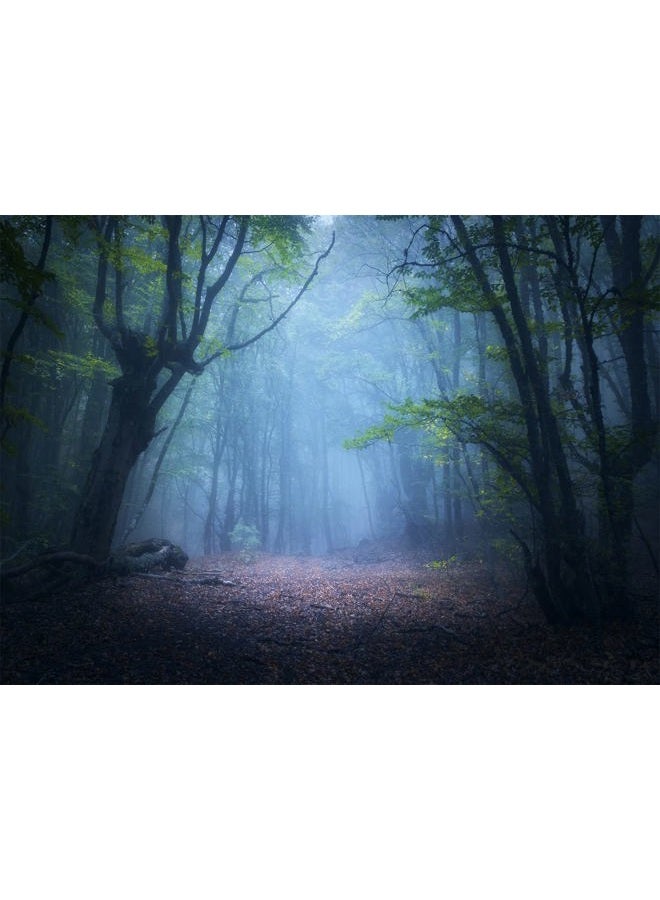 CORFOTO Fabric 10x8ft Nature Green Forest Backdrop Jungle Rainforest Rocky Path Spring Landscape Background for Kids Newborn Baby Shower Camping Birthday Party Decor Men Adults Portrait Photo Props - Image 1