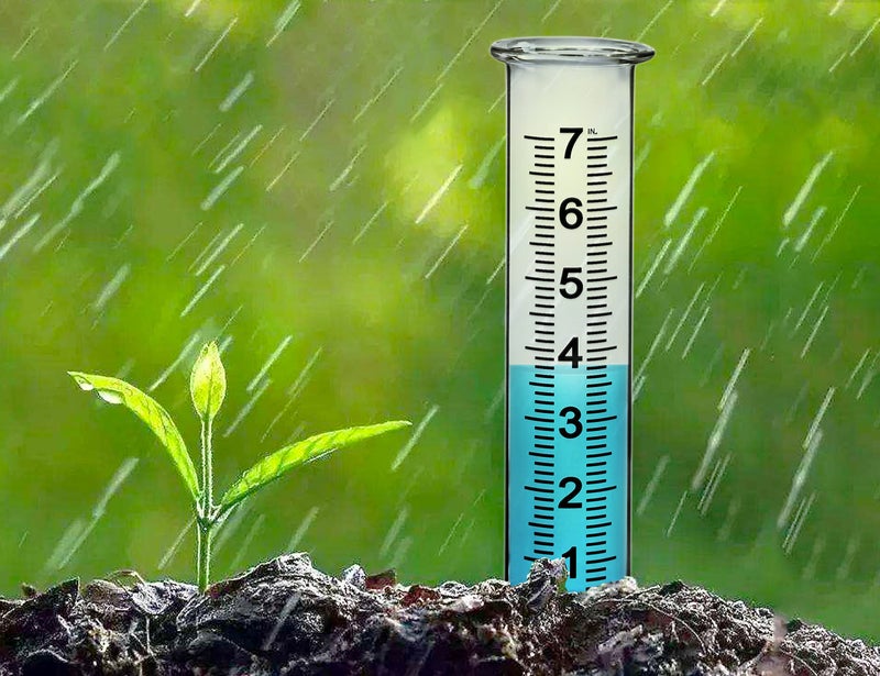 JMBay rain Gauge Replacement Tube Glass, 7 inch Glass rain Gauge Replacement Tube with Lip, rain Gauge Tube Outdoor for Yard Garden, with Clean Tube Brush, Best Rated,2 Packs - Image 3