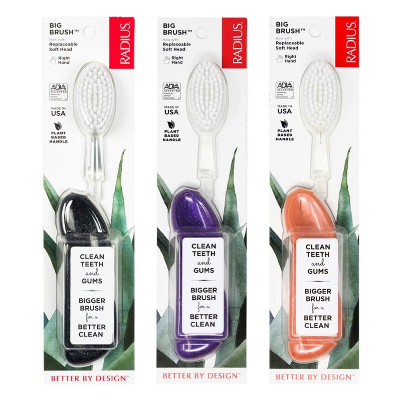 RADIUS Big Brush with Replaceable Head BPA Free ADA Accepted Toothbrush Designed to Improve Gum Health Reduce Gum Issues Right Hand PurpleSea ShellMidnight Sky Pack of 3