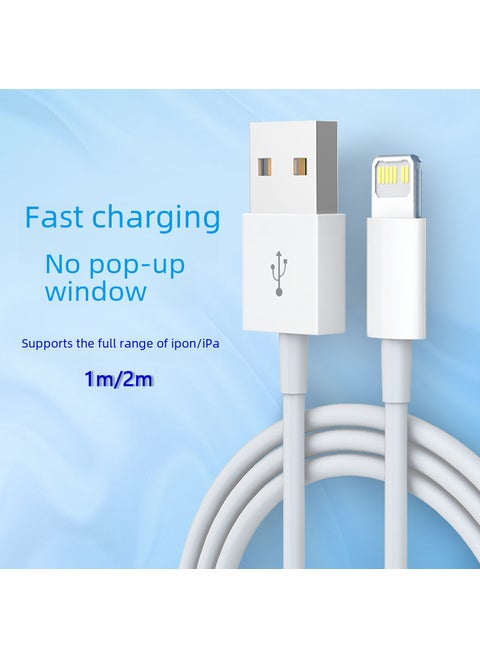 iPhone USB Charging Cable 1m/2m PD Fast Charge 10W2A for iPad [2 M 10W] USB-Apple line