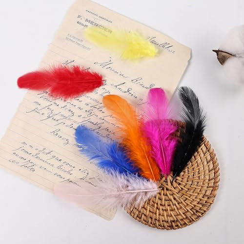 whitefeather 300pcs Mixed Color Feathers Bulk for Crafts - 3-5 Inch Natural Rooster Feathers for Dream Catchers, DIY, Teens Crafts, Party & Jewelry Decoration (26 Colors, Soft & Fade-Resistant) - Image 4