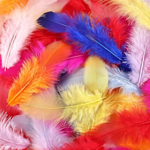 whitefeather 300pcs Mixed Color Feathers Bulk for Crafts - 3-5 Inch Natural Rooster Feathers for Dream Catchers, DIY, Teens Crafts, Party & Jewelry Decoration (26 Colors, Soft & Fade-Resistant) - Image 1