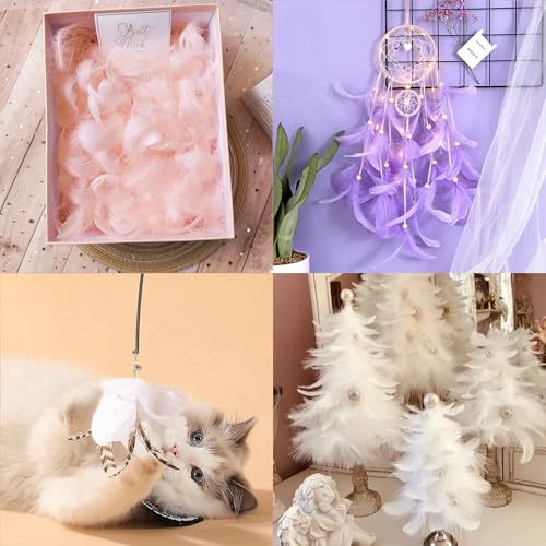 whitefeather 300pcs Mixed Color Feathers Bulk for Crafts - 3-5 Inch Natural Rooster Feathers for Dream Catchers, DIY, Teens Crafts, Party & Jewelry Decoration (26 Colors, Soft & Fade-Resistant) - Image 5