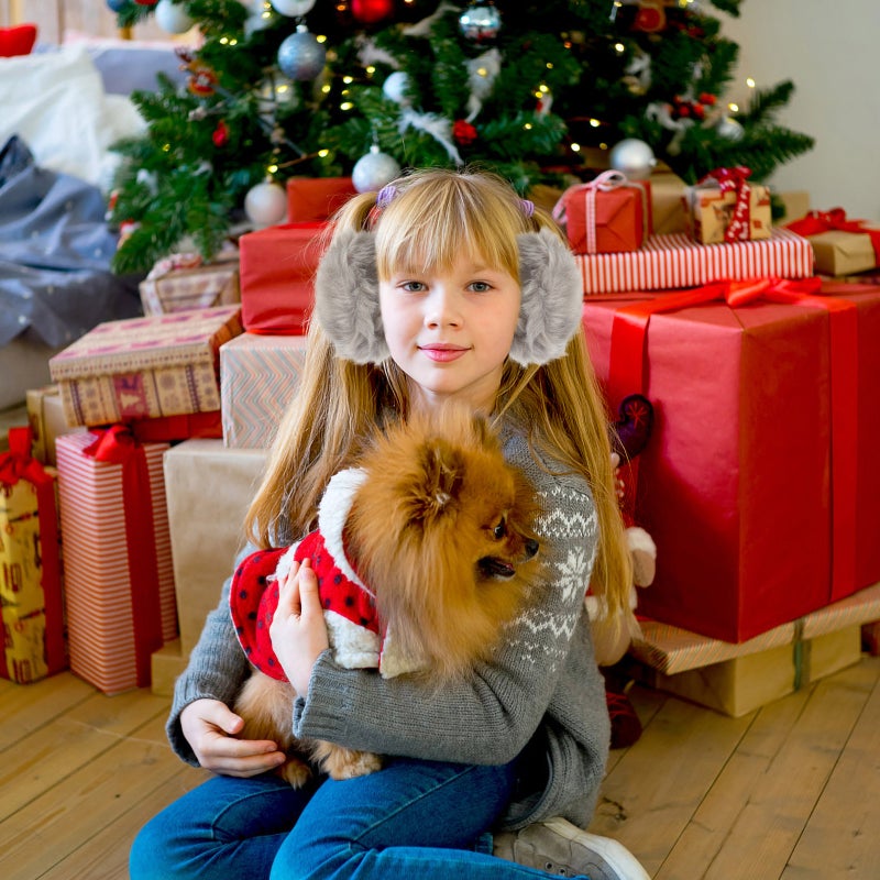 Comfortable Ear Muff Plush Ear Warmer Warming Ear Cover Winter Ear Protective Cover - Image 2
