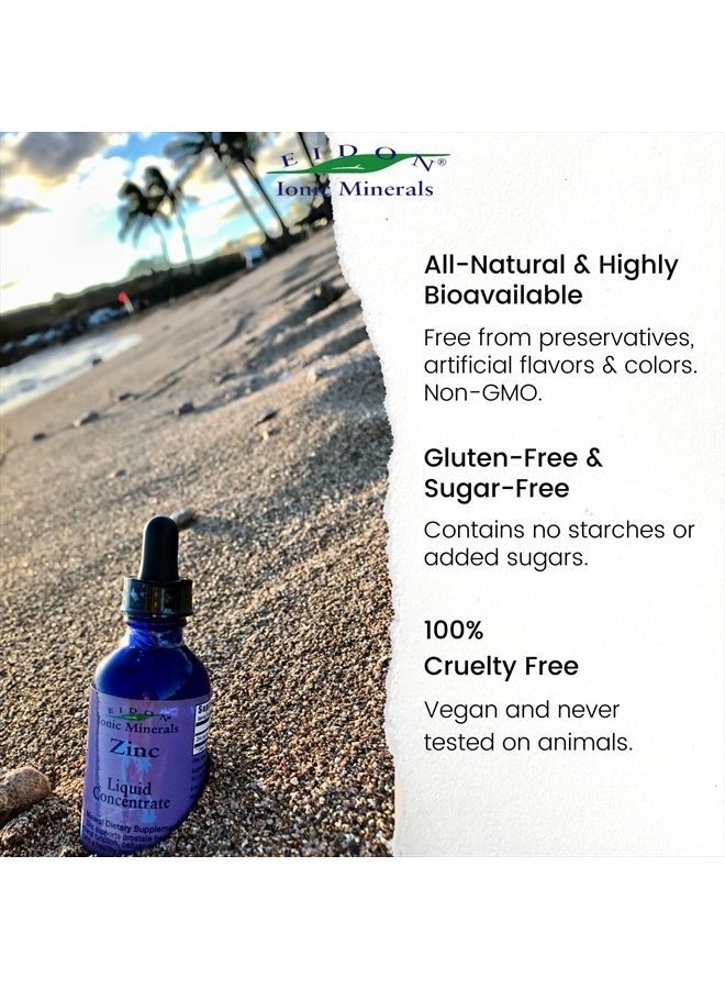 Eidon Ionic Minerals Liquid Zinc Concentrate - Ionic Zinc Drops, Boost Immune System & Mood, Relieves Stress, All-Natural, Vegan, Gluten-Free, No Preservatives or Additive - 2 Ounce Bottle - Image 5