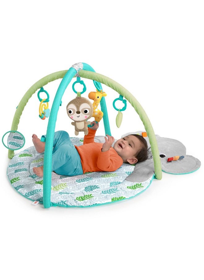 Bright Starts - Bright Starts Hug 'N Cuddle Activity Gym & Playmat with Take-Along Toys - Image 1