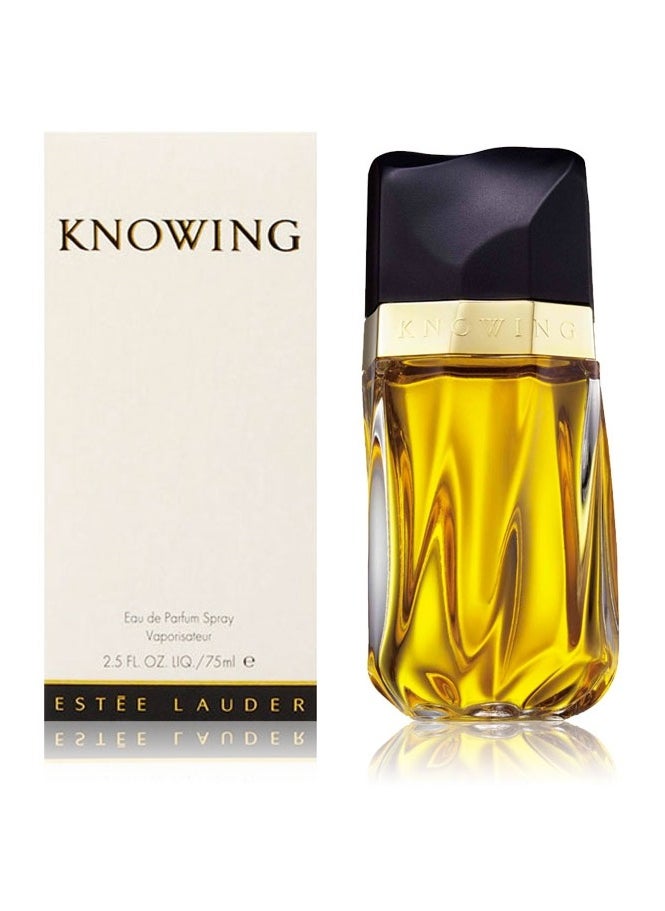 عطر استي لودر نوينج - 75 مل - pzsku/Z52BD7116A63C17C2C4BEZ/45/_/1738094760/e93d8cdb-1a5f-425c-95c7-0b512d49e868