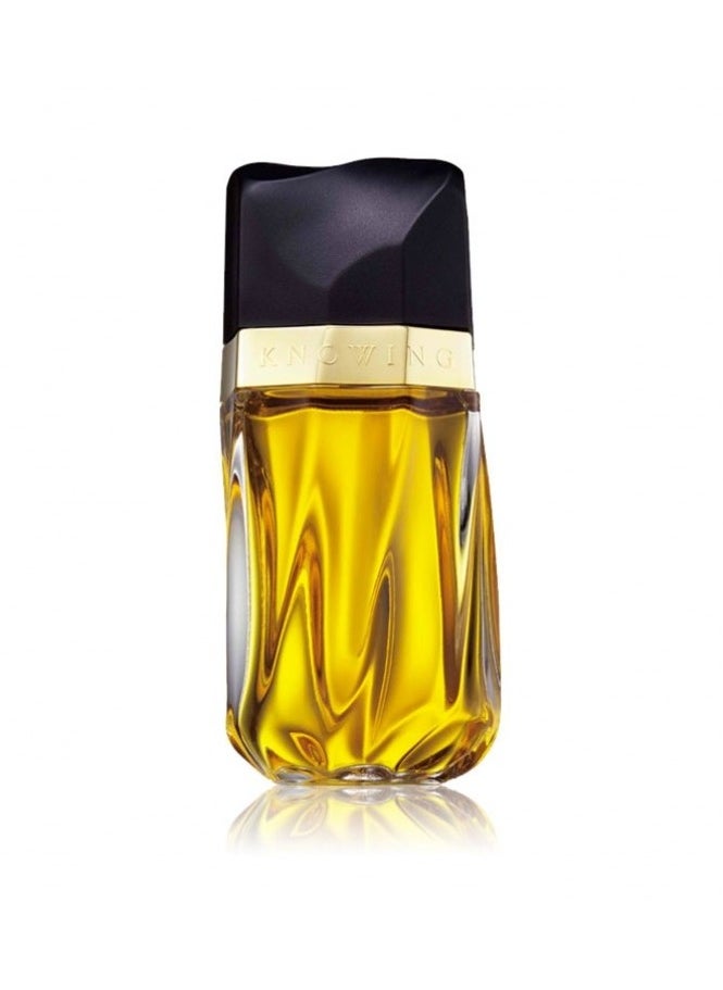 عطر استي لودر نوينج - 75 مل - pzsku/Z52BD7116A63C17C2C4BEZ/45/_/1738094771/e9f73067-74ef-40c9-afe0-19b2619acd64