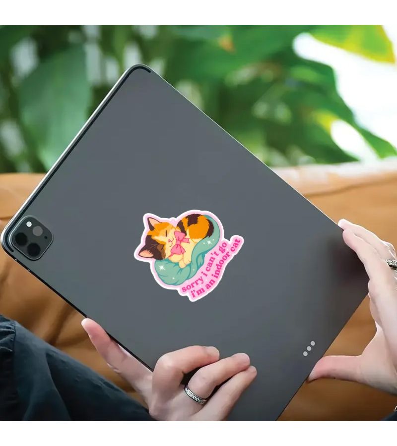 1pc Sorry I Cannot Go I Am A House Cat Sticker Aquarius Fun Cute Laptop Car Decor - Image 5