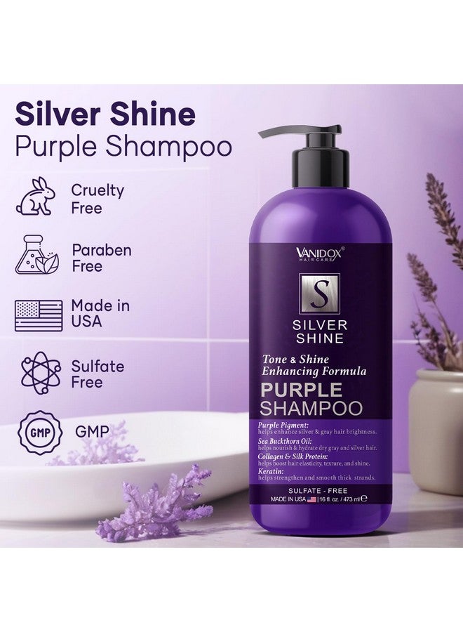 VANIDOX Sulfate Free Purple Shampoo for Grey and Silver Hair, Brass Toning Purple Shampoo Infused with Purple Pigment, Purple Shampoo for Gray Hair for Women (16 fl oz) - Image 2