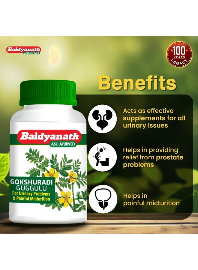Baidyanath بايدياناث غوكشورادي غوجولو - 80 قرص | تركيبة Ayurvedic لصحة الكلى والمسالك البولية | يدعم المسالك البولية، المثانة وتدفق البول | مع غوكهرو، هاريتاكي وأملا - Image 3