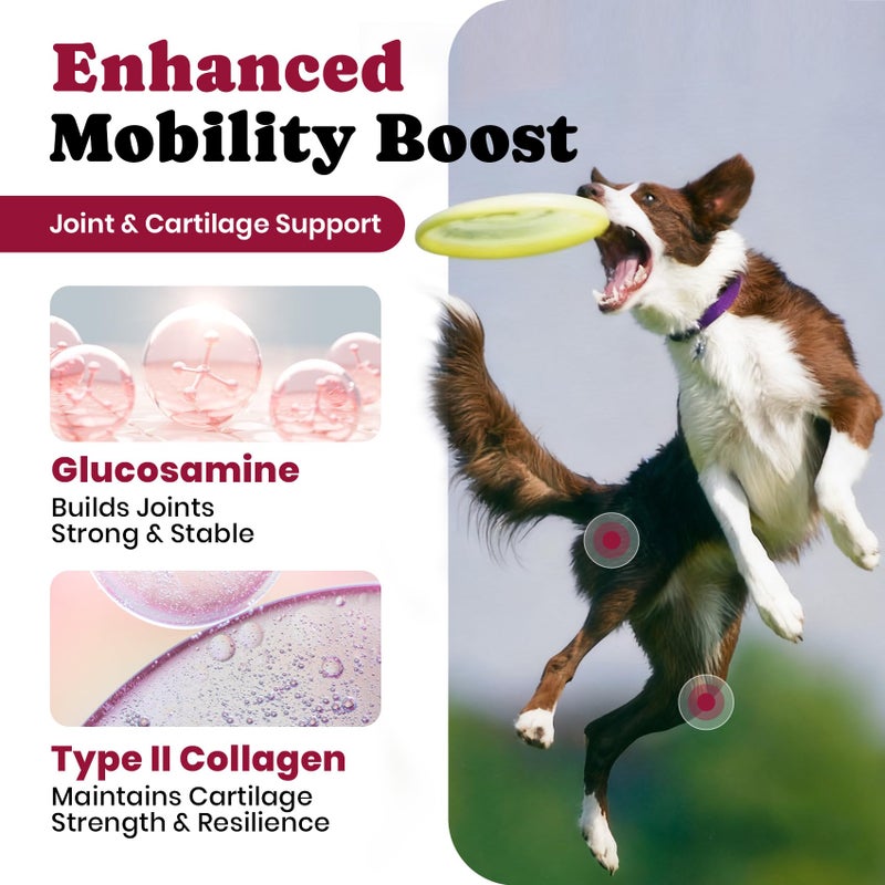 BuddyCheer Glucosamine for Dogs - Hip and Joint Supplement Chews for Senior & Large Breed, Joint Supplement for Dogs with Chondroitin, Wuffe Joint Chews for Pain Relief - 60-Day Satisfaction Guarantee - 180 Ct - Image 3