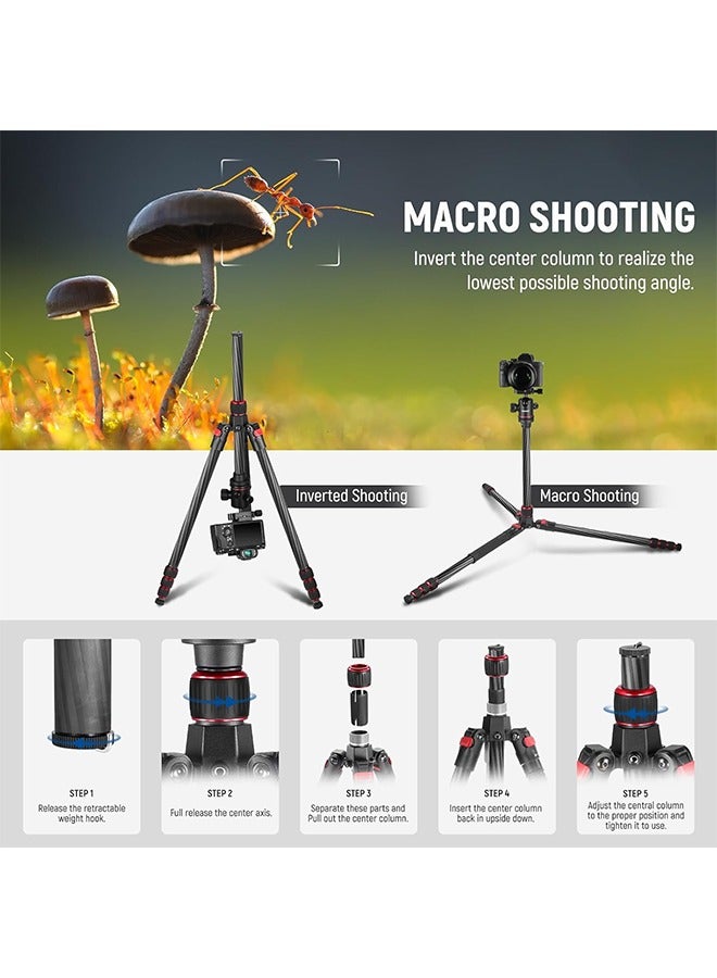 NEEWER 66"/168cm Carbon Fiber Tripod for Camera with 360° Panorama Ball Head, 1/4" Arca QR Plate, Portable Bag, Compact Travel Tripod Monopod for DSLR Video Camcorder, Max Load 26.5lb/12kg, N55C - Image 5