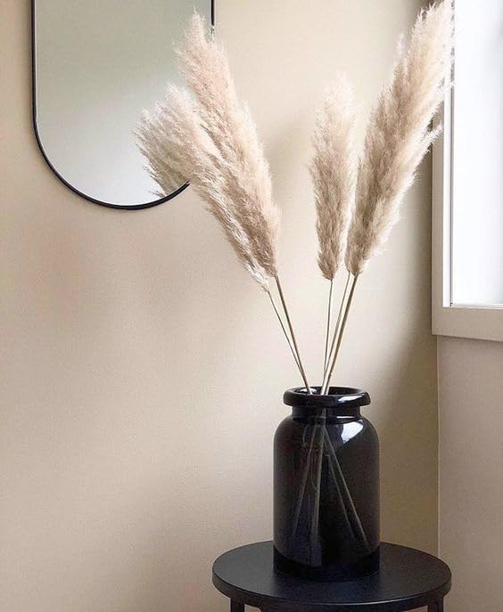 XTORE أعشاب البامباس المجففة 4 قطع باللون الأبيض الفاتح لتزيين المنزل عبوة من 4 قطع مستوردة من الأرجنتين، الأفضل في فئته - Image 1