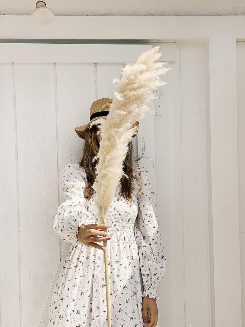 XTORE أعشاب البامباس المجففة 4 قطع باللون الأبيض الفاتح لتزيين المنزل عبوة من 4 قطع مستوردة من الأرجنتين، الأفضل في فئته - Image 3