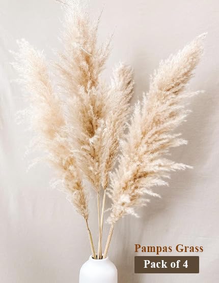 XTORE أعشاب البامباس المجففة 4 قطع باللون الأبيض الفاتح لتزيين المنزل عبوة من 4 قطع مستوردة من الأرجنتين، الأفضل في فئته - Image 2