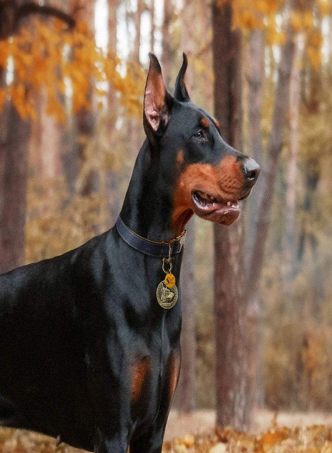 سايج سكوير قلادة تذكارية مربعة الشكل من البرونز العتيق، تُستخدم كطوق تعريف للكلاب (عشوائي) (قطعة واحدة) - Image 4