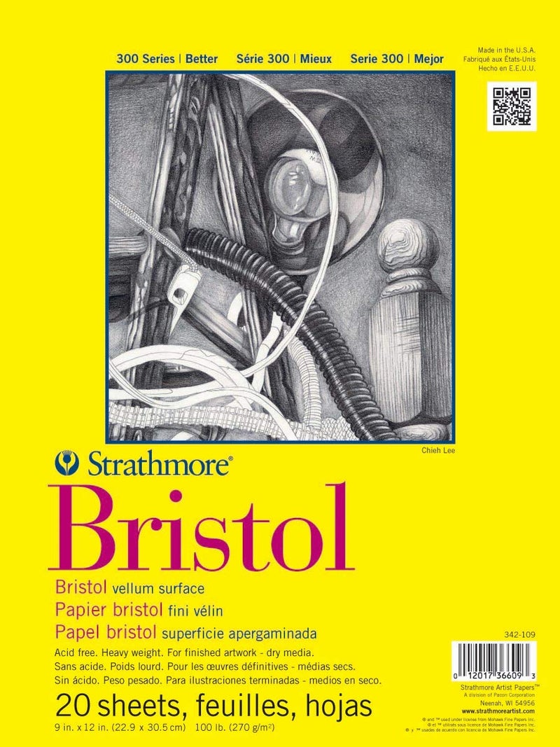 Strathmore Strathmore 300 Series Bristol Paper Pad Vellum Tape Bound 9x12 inches 20 Sheets 100lb270g  Artist Paper for Adults and Students  Charcoal Pen and Ink Marker and Pastel 