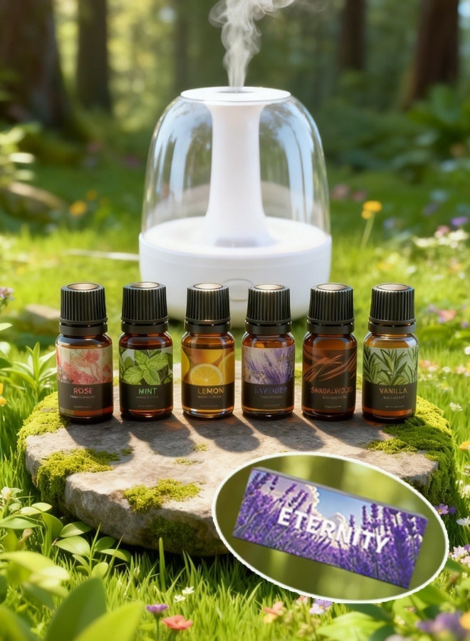 MEJISOO Essential Oils 6-Scent Blend Set, Best Aroma Oils for Diffusers, Humidifier, Necklace and Sachet, Aromatherapy Diffuser Oils for Aroma Scents Sets, The First Chose of essential oils for Home, High Quality Essential Oils Pack Gift. - Image 5