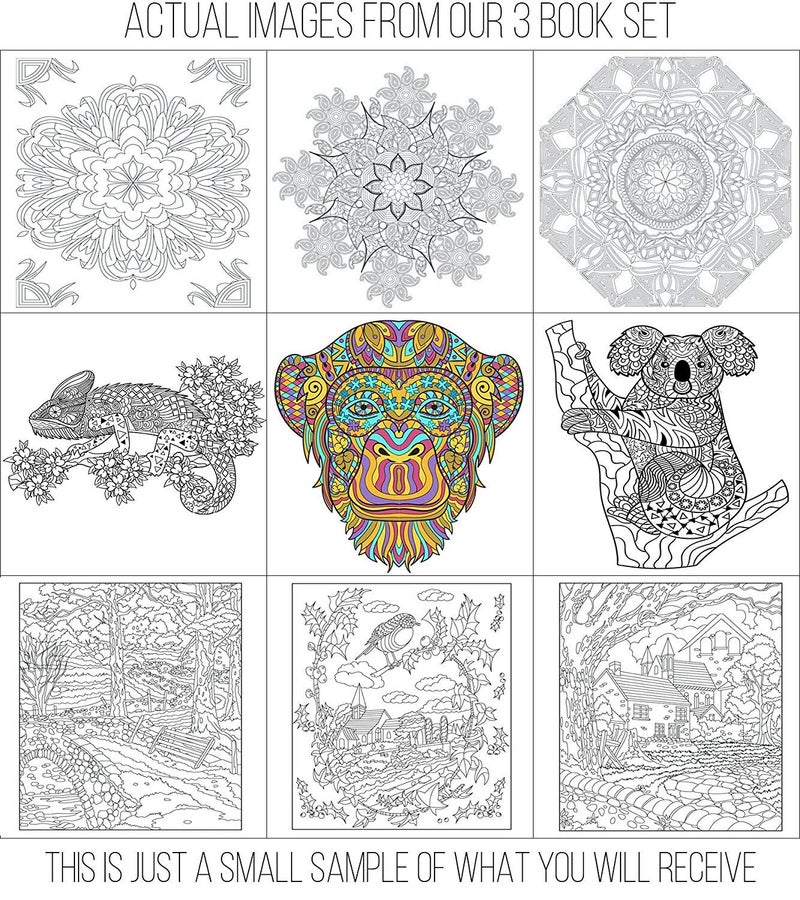 Creatively Calm Studios Set of 3 Adult Coloring Books, Animals, Scenery & Mandalas Designs - 120 Unique Images! 8.5 in. x 8.5 in. Pages - Image 4