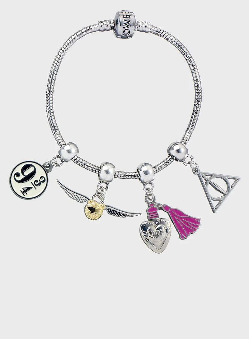 Harry Potter Set Of Four Charms