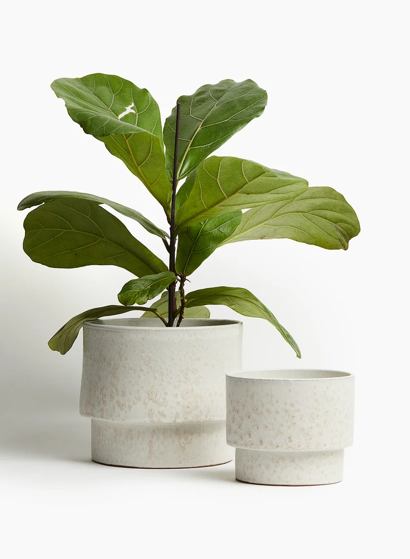 اتش اند ام Terracotta Plant Pot