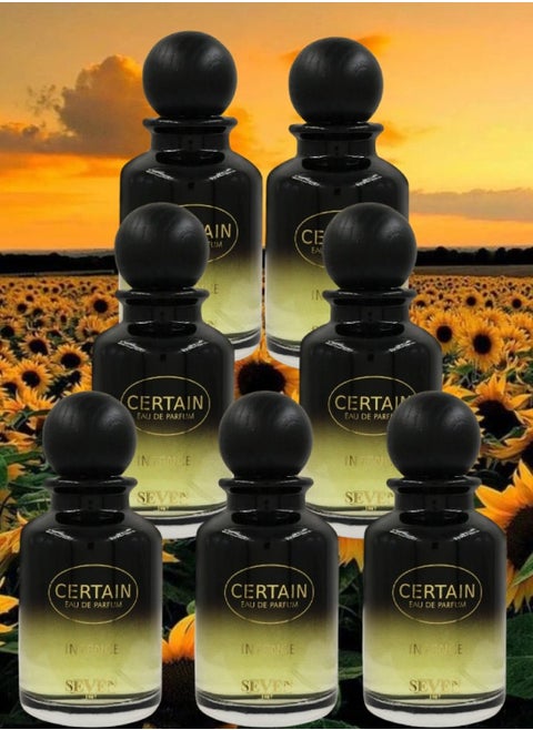 7 Pieces Certain Perfume 100ML