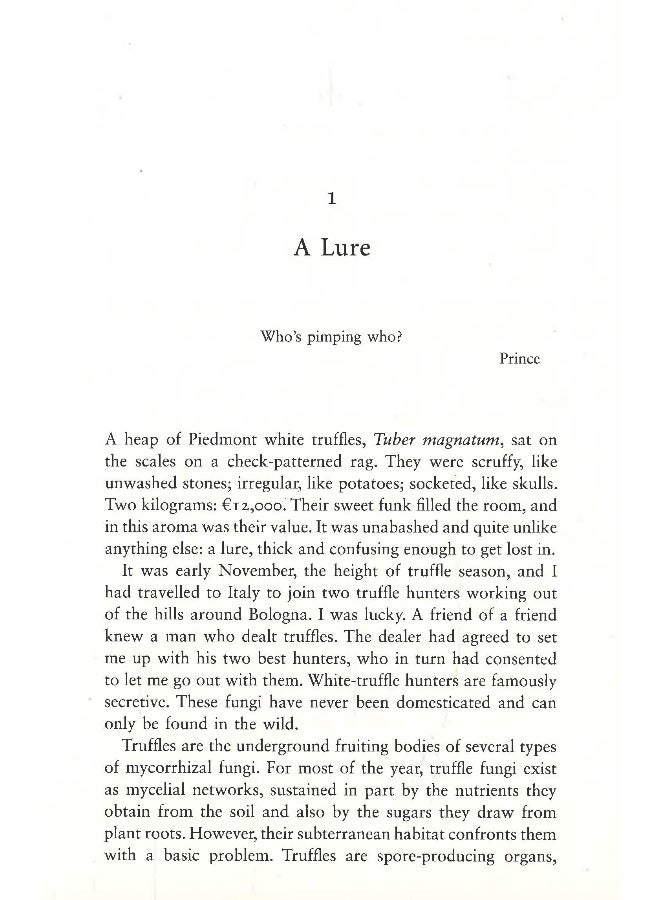 الحياة المتشابكة - Image 4