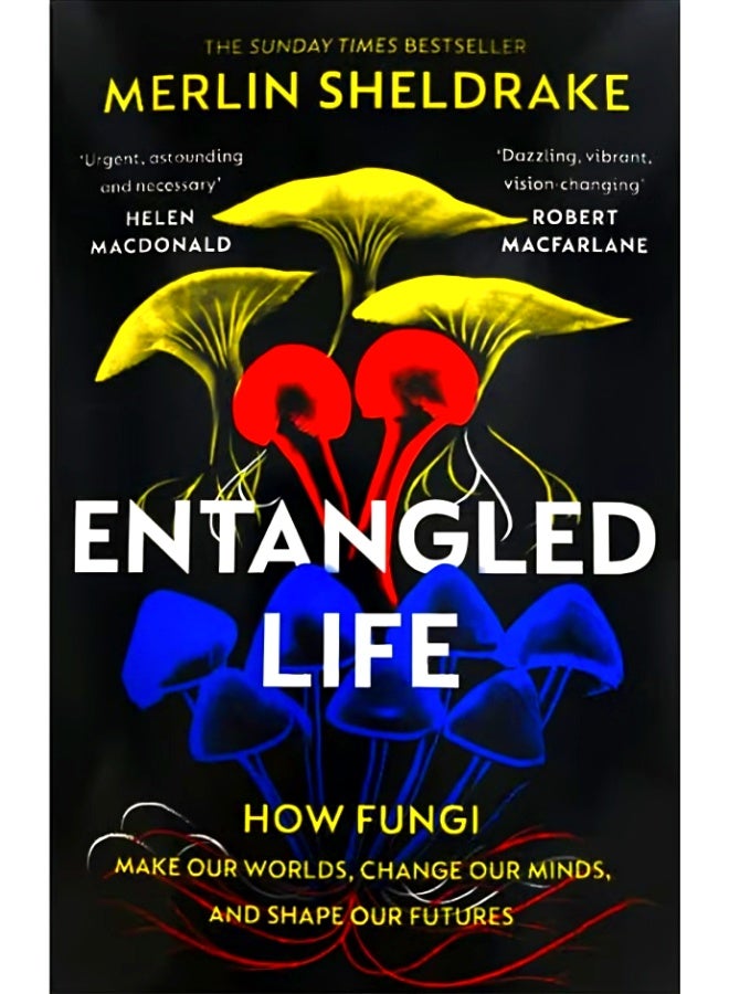 الحياة المتشابكة - Image 1