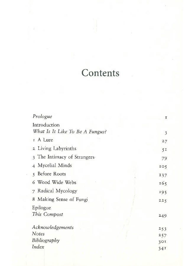 الحياة المتشابكة - Image 3