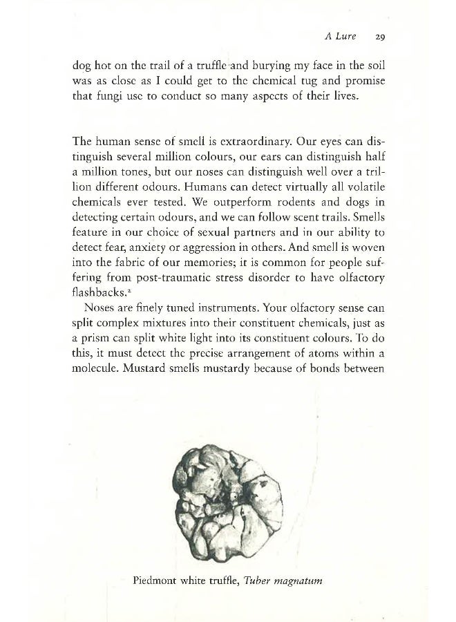 الحياة المتشابكة - Image 5