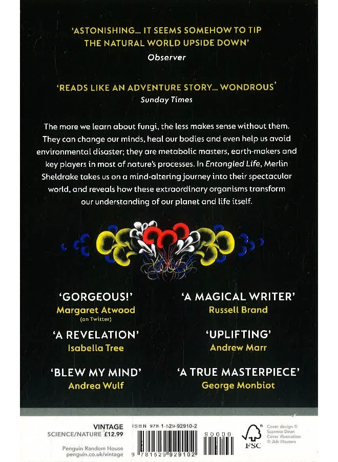 الحياة المتشابكة - Image 2