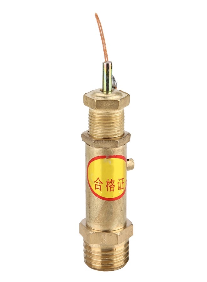 1Pcs G1/2 Blow Off Valve Spring type Safety Valve For Steam Generators(3KG) - Image 1