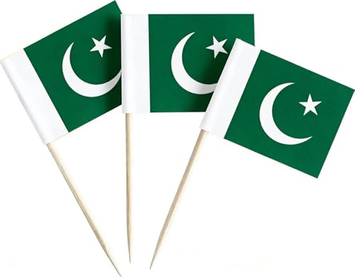 JAVD CYPS 100 Pcs Pakistan Flag Pakistani Toothpick Flags Small Mini Stick Cupcake Toppers Pakistani FlagsCountry Picks Party Decoration Celebration Cocktail Food Bar Cake Flags - Image 1