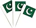 JAVD CYPS 100 Pcs Pakistan Flag Pakistani Toothpick Flags Small Mini Stick Cupcake Toppers Pakistani FlagsCountry Picks Party Decoration Celebration Cocktail Food Bar Cake Flags - Image 3