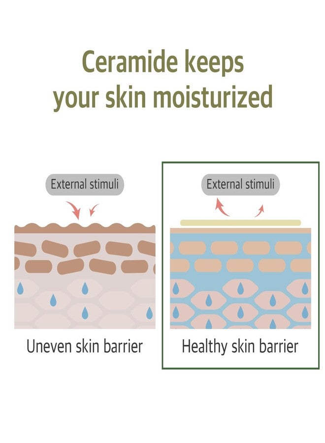 ROUND LAB Soybean Nourishing Mask | Nourished and firmer skin with Black Soybean Extract, Creamy essence, Rejuvenating, Cooling (10ea) - Image 4