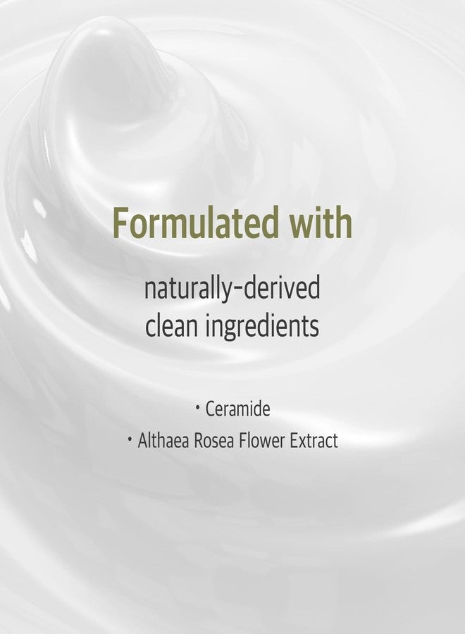 ROUND LAB Soybean Nourishing Mask | Nourished and firmer skin with Black Soybean Extract, Creamy essence, Rejuvenating, Cooling (10ea) - Image 3