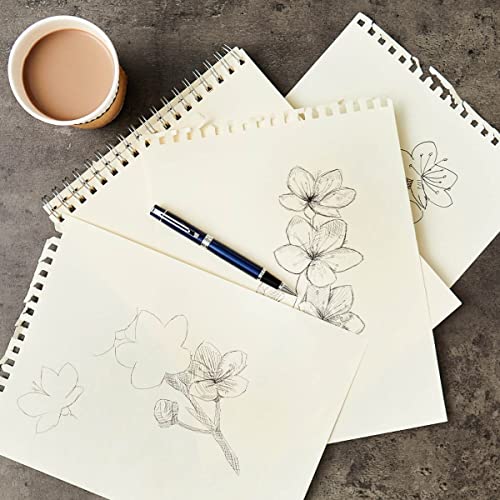 SHEAFFER قلم رولر شيفر 300 بلون أزرق لامع مع تزيين مطلي بالكروم - Image 2