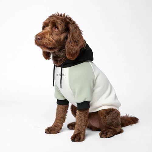 Spark Paws Dog Hoodie Premium Dog Sweater for Small Medium and Large Dogs Warm Outfits for French Bulldogs Pitbull Puppy Winter Jacket Alternative Olive Cream 2XL - Image 1
